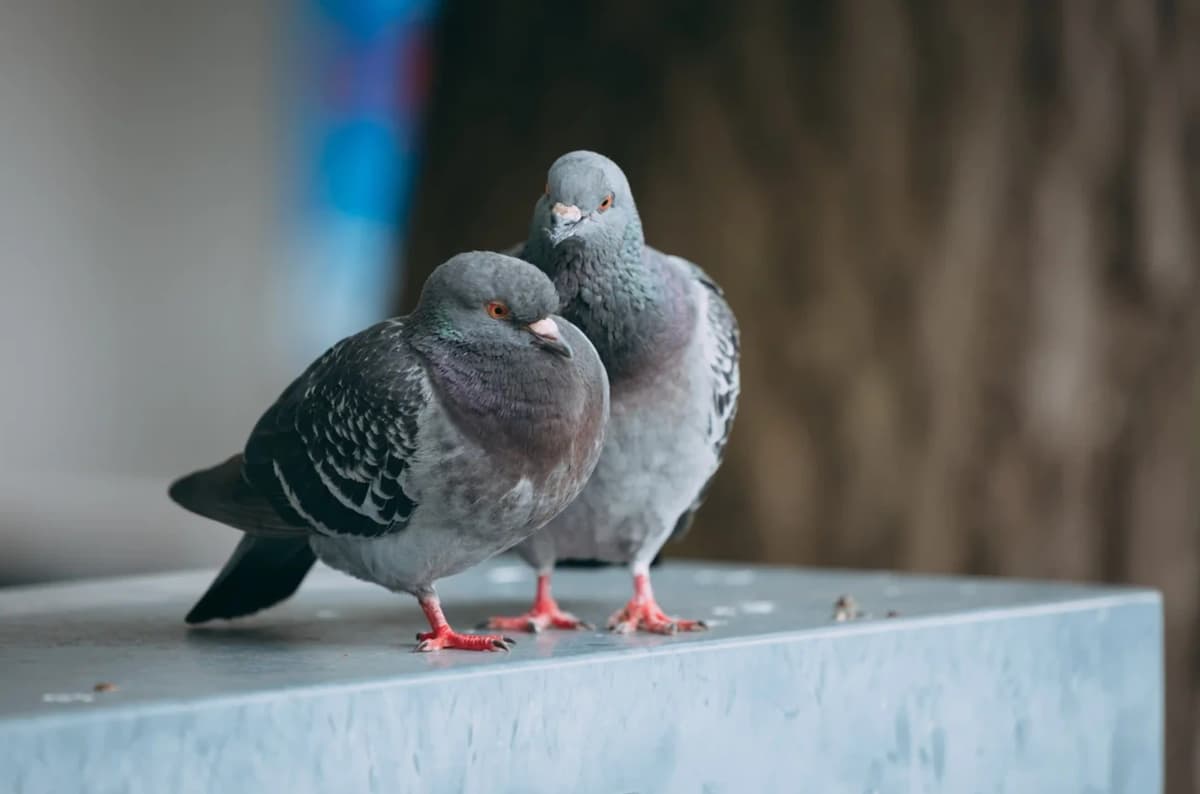 Example 3: Before AI enhancement